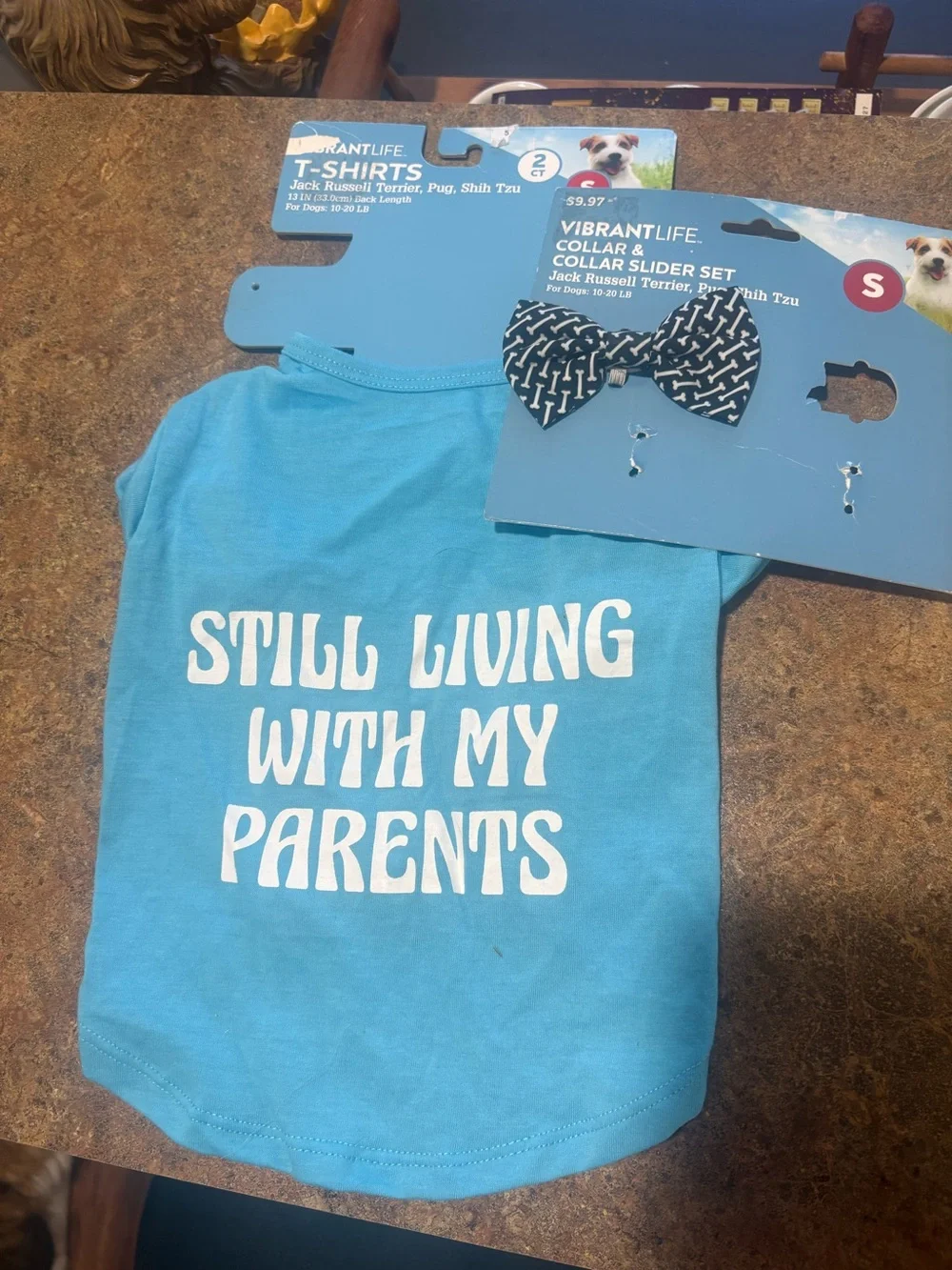 Pet shirt and bow tie “still living with my parents” size medium dogs 20-40 lbs.